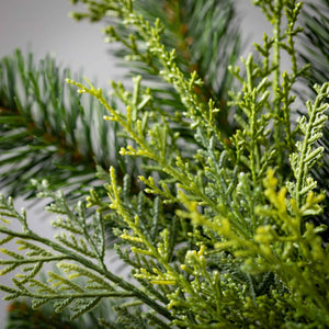 LUSH GREEN DOUGLAS FIR PICK