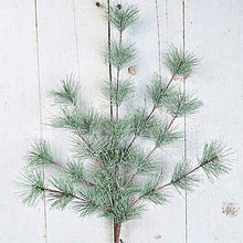 Load image into Gallery viewer, 28IN SPARKLE NEEDLE PINE SPRAY