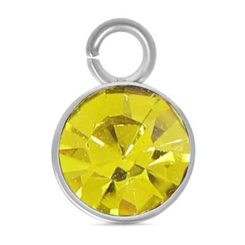 Stainless Steel Cubic Zirconia Birthstone Charm: November/Topaz