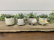 Load image into Gallery viewer, Shaped Succulent Pots